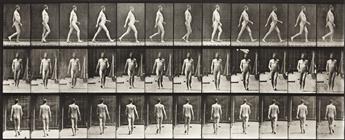 EADWEARD MUYBRIDGE (1830-1904) A selection of 4 plates from Animal Locomotion of men (2) and women (2) engaged in various activities.